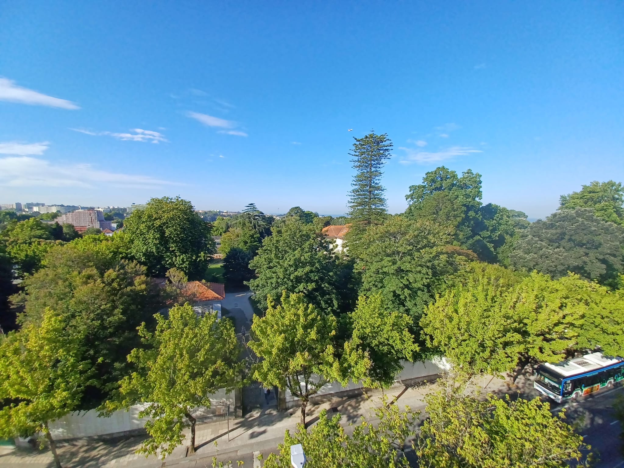 Campo Alegre 1024 18