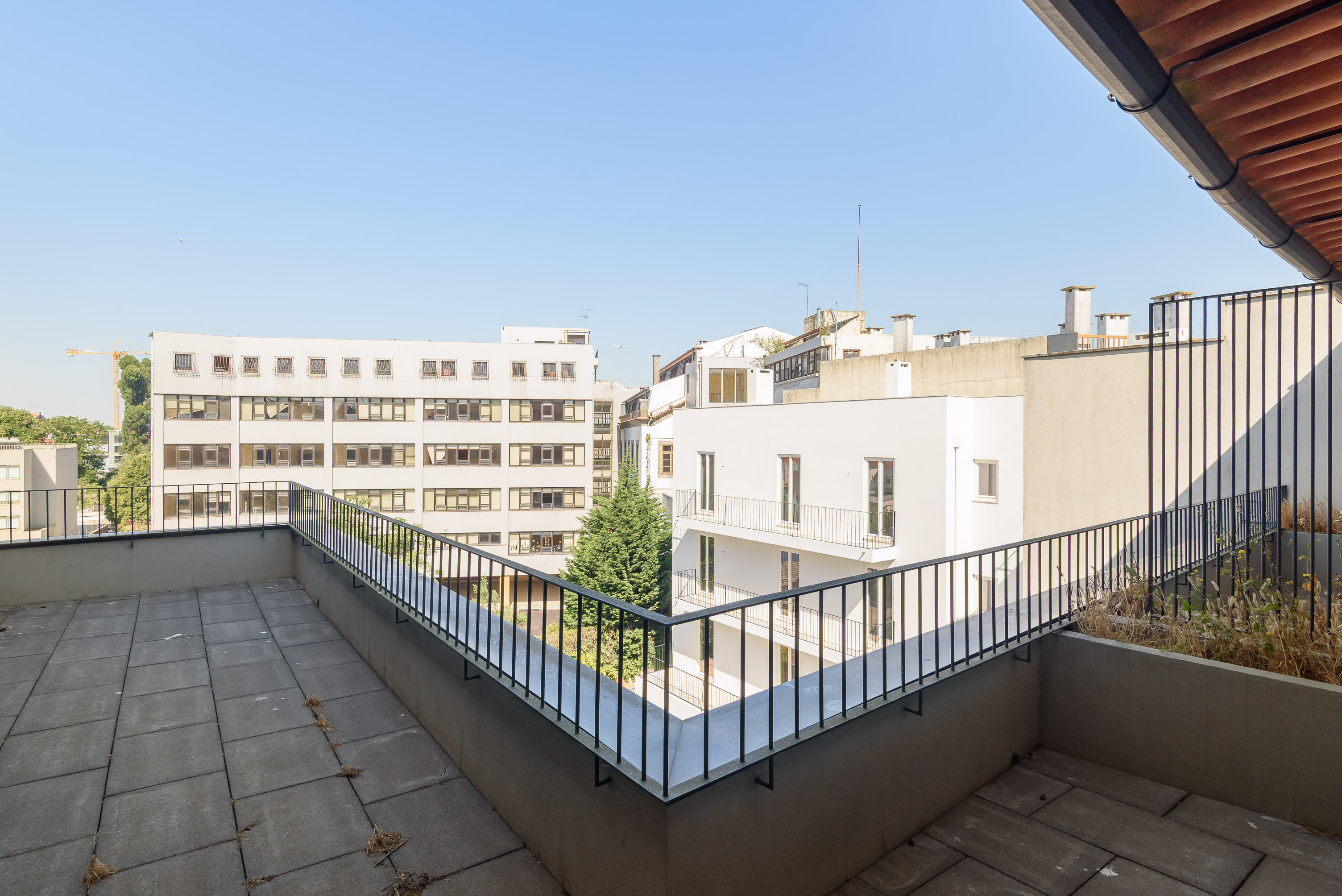 Cedofeita Living 50