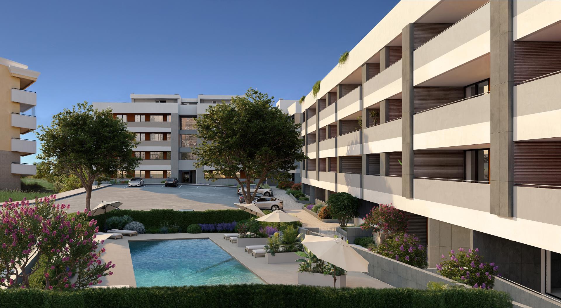Domus 4