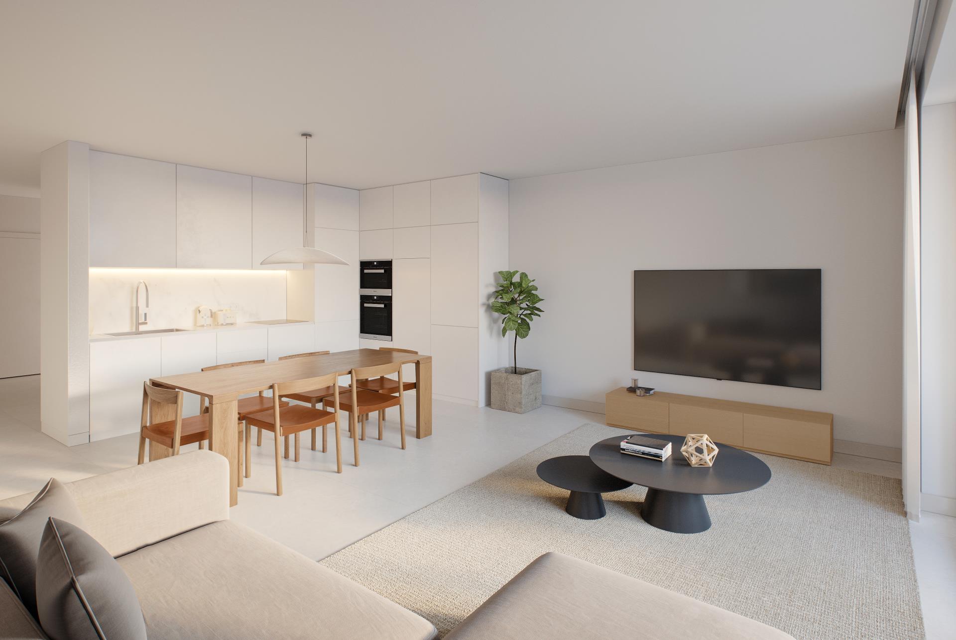 Domus 7