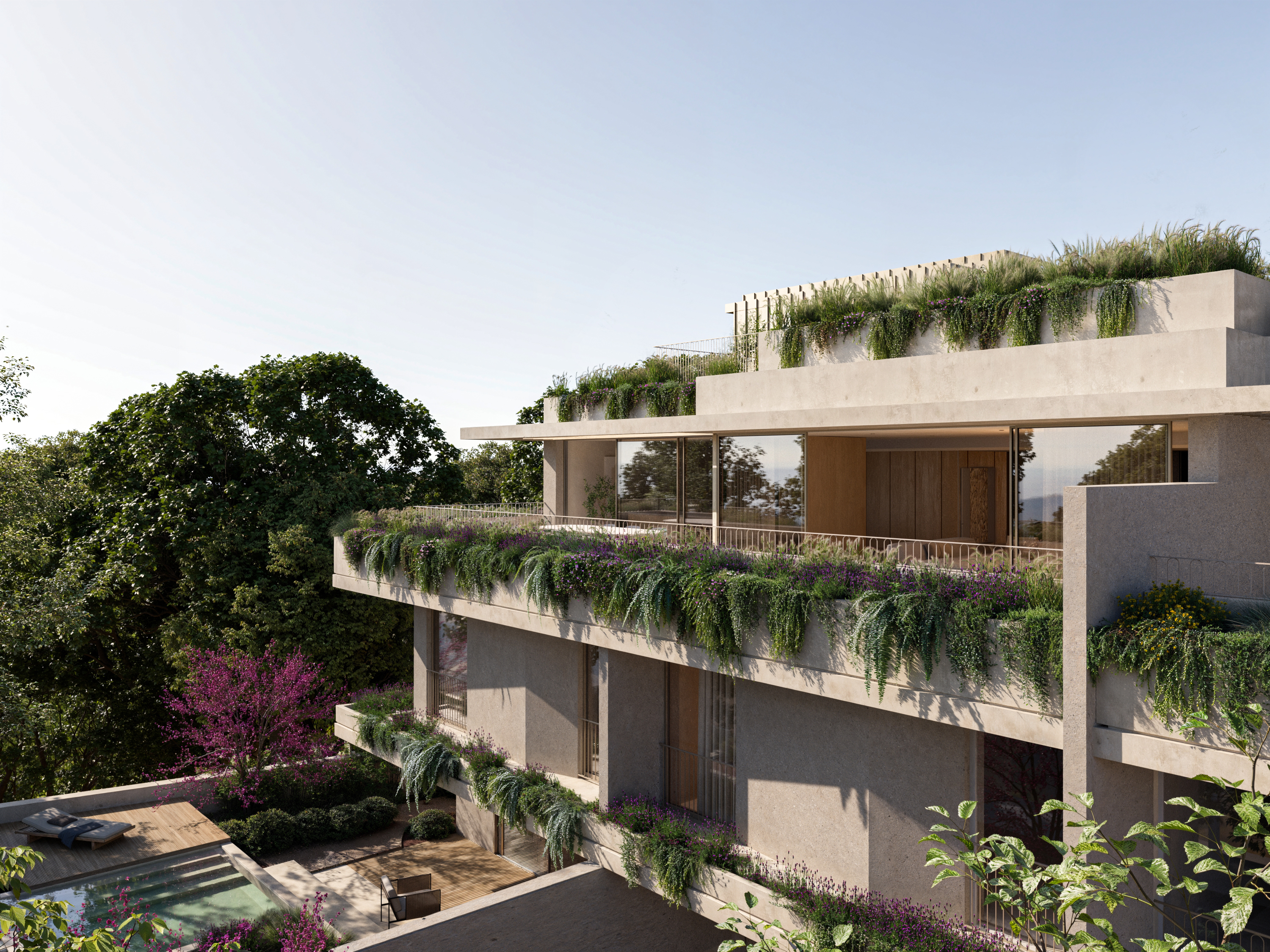 FOZ Nature 16
