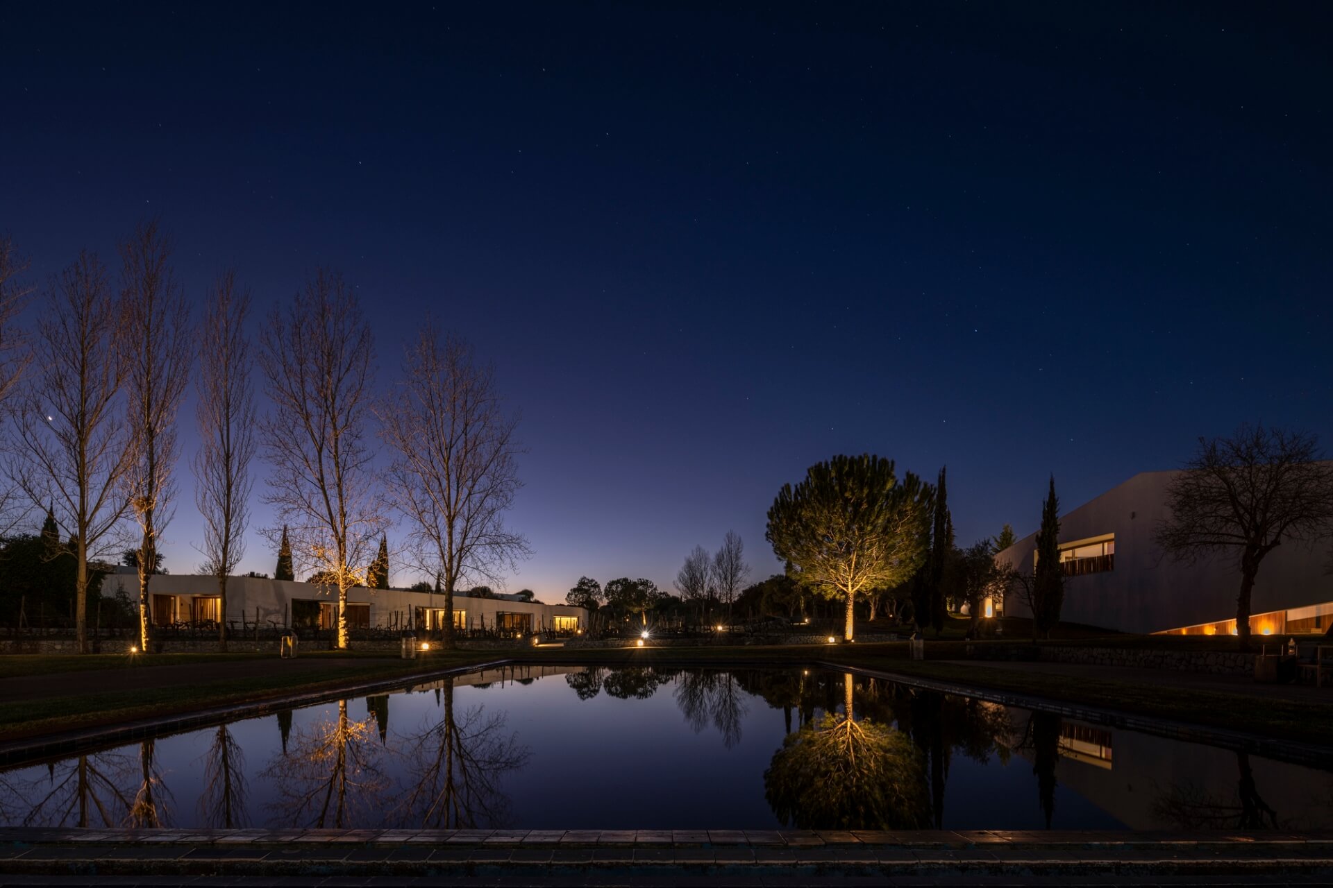 L'AND Vineyards 11