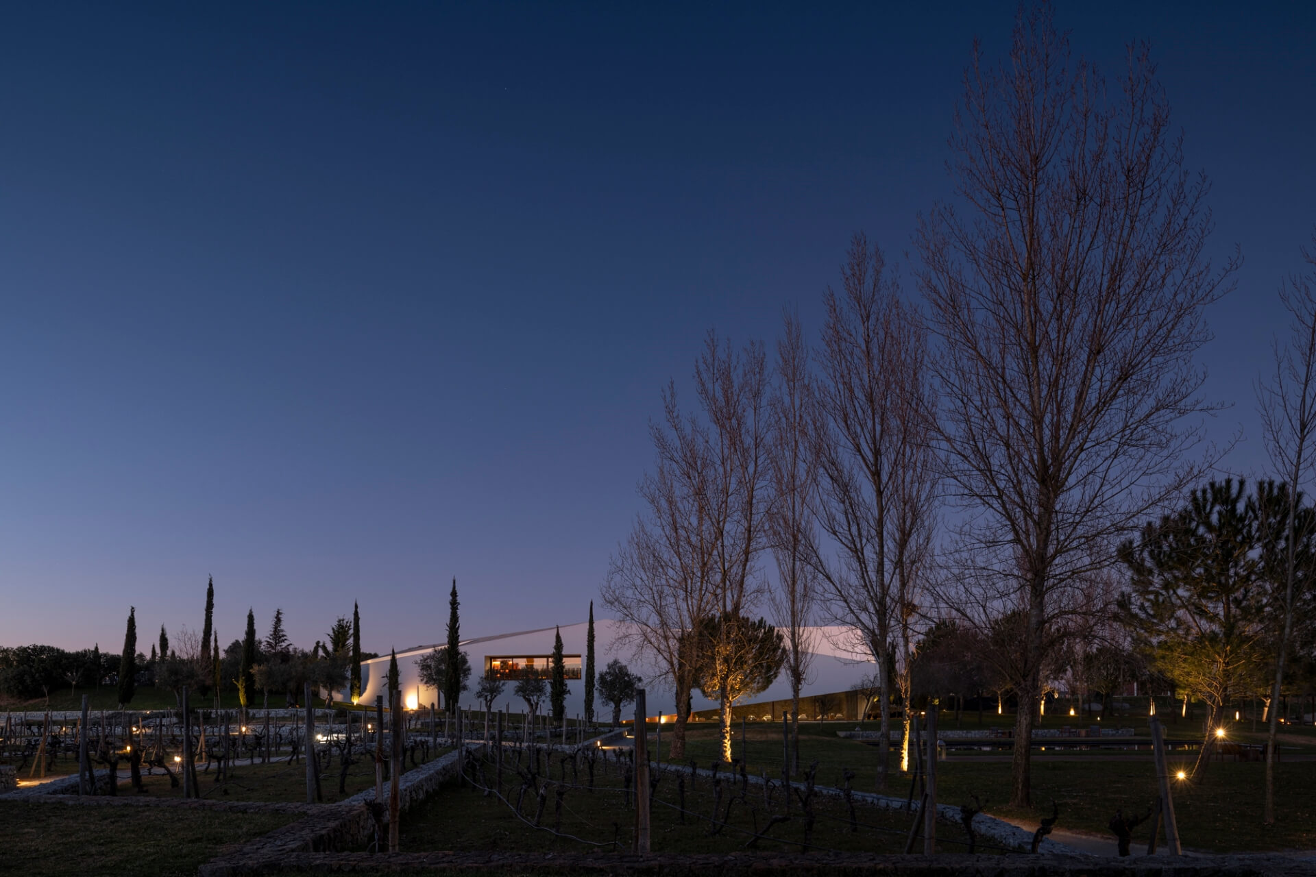 L'AND Vineyards 19