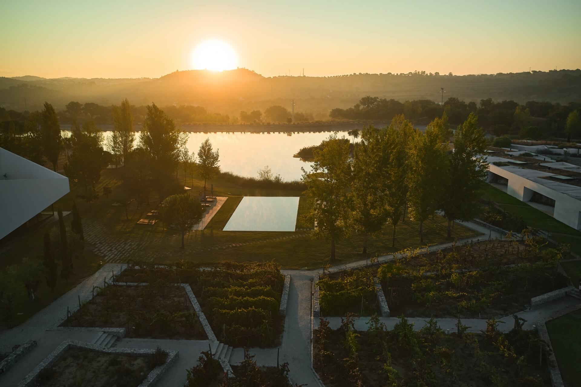 L'AND Vineyards 6