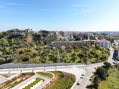 Panorama 5