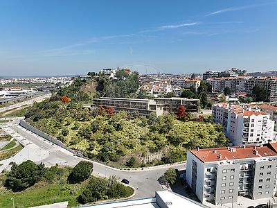Panorama 6