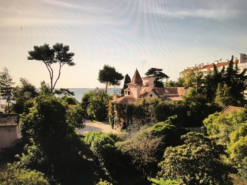 Quinta do Cedro 22