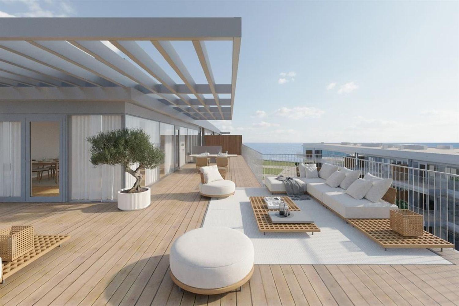 Sal D'ouro Coast 10