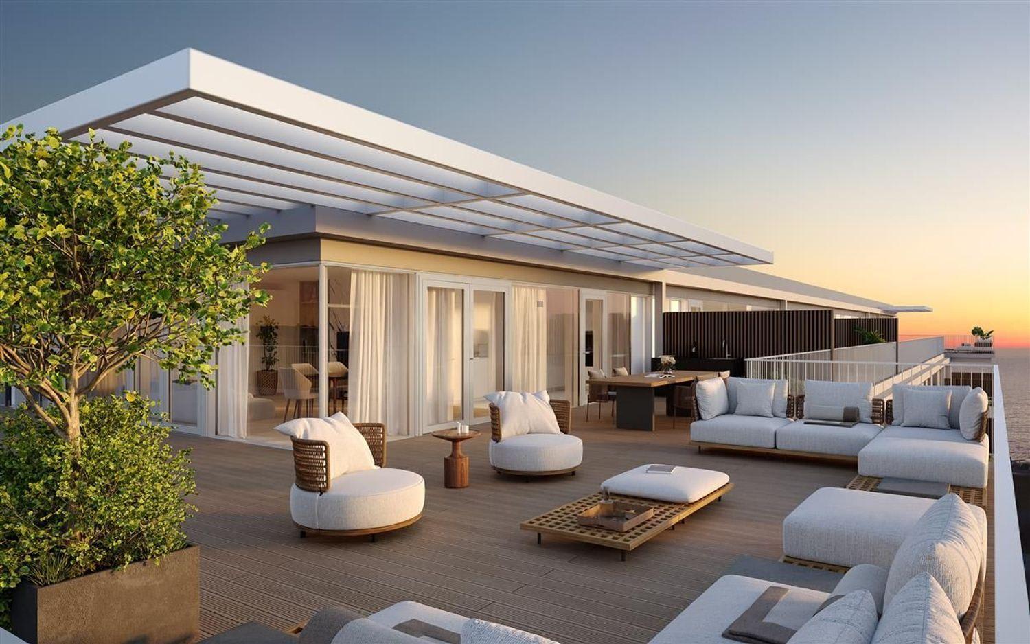 Sal D'ouro Horizon 21