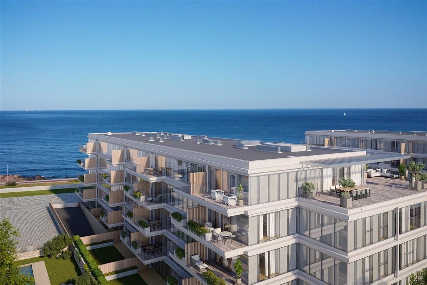 Sal D'ouro Horizon 1