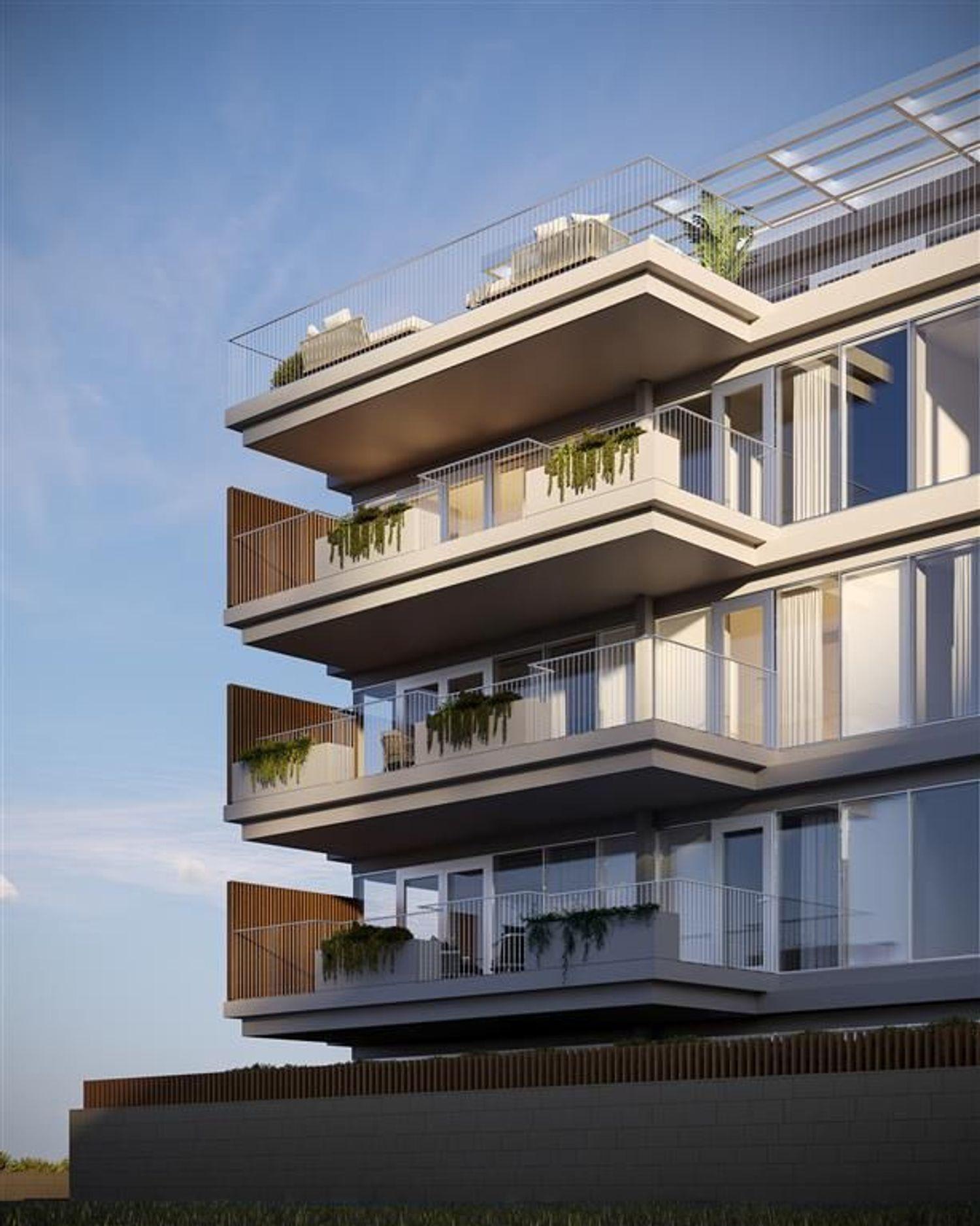 Sal D'ouro Horizon 6