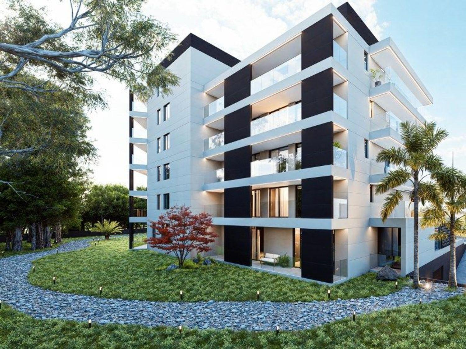 São João Premium 25