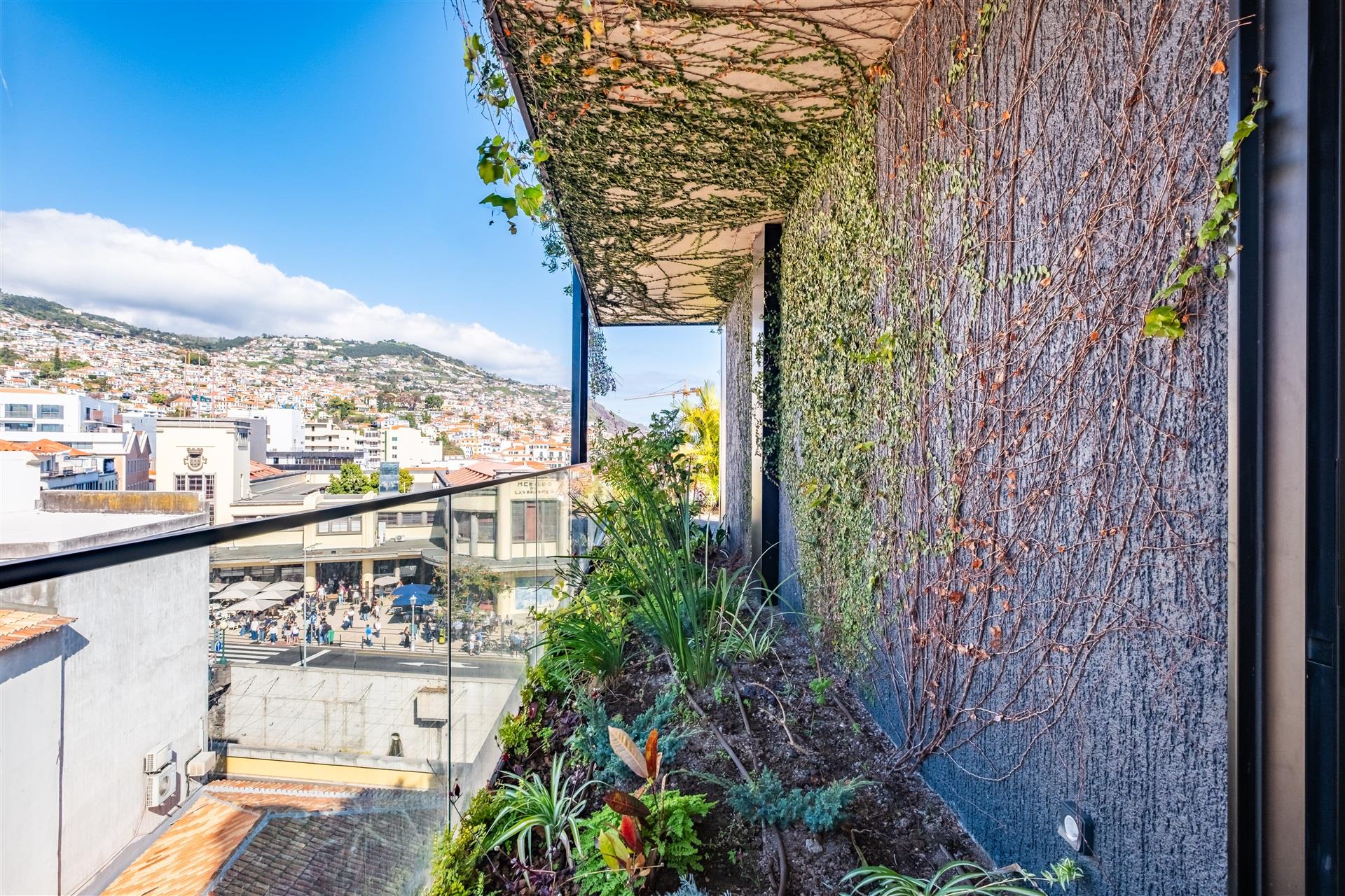 Savoy Residence Insular 262